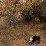 10 pioneer-era apple types thought extinct found in US West
