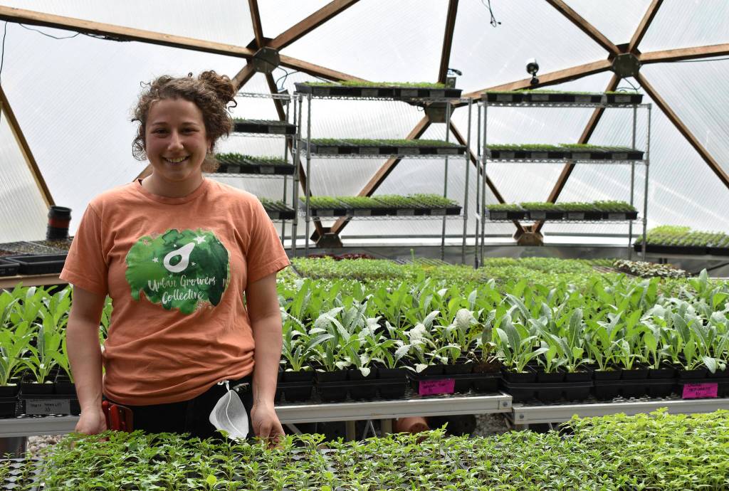 This April 10, 2020, photo shows Allison Sturm, Urban Farm Assistant, at the Urban Growers Collective farm in Chicago. The nonprofit teaches young kids and others to grow vegetables at eight urban farms around the city. While their spring educational programs are on hold due to rules on social distancing, Laurell Sims, the co-founder, said they are still focusing on food production and getting produce to families that need it. (Laurell Sims via AP)