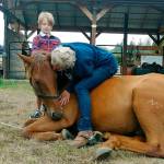 HORSEPLAY: Be a leader for your horse