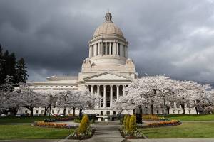 Virus to have longstanding effect on state budget