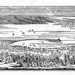 Promoter D.P. Quinns letterhead. (John McNutt collection)