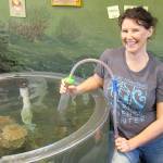 Online aquarium tour shows off new exhibits