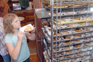 Joyce Daze Wild Blackberry Festival canceled