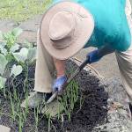 A GROWING CONCERN: ‘Get the dirt’ on dirt in your garden