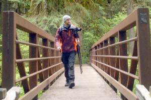 Olympic National Park exploration