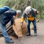 Markus Robbins, left, and Dave Montague, both of Port Angeles, examine the rings of a fallen tree along the Marymere Falls Trail near Lake Crescent in Olympic National Park on Saturday, May 16, 2020. (Keith Thorpe/Peninsula Daily News)