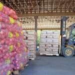 Dan Otterstetter, an employee of Hermann Brothers Logging & Construction Inc., uses a fork lift to unload potatoes and onions at the companys Port Angeles log yard Tuesday for storage before community distributions set for Saturday. (Keith Thorpe/Peninsula Daily News)