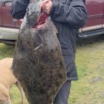 Ann Jagger of Sequim caught this halibut while fishing out of John Wayne Marina on Sunday morning. The fish was measured by fish checkers on the dock at just under 46 inches in length. It weighed 45 pounds. (Steve Hazard)