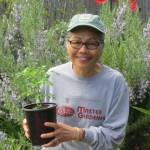 Audreen Williams shows off a tomato plant at the 5th Street Garden in Port Angeles. (Audreen Williams)