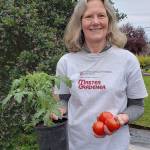 Jan Bartron shows off a tomato plant and the end-product: juicy, vine-ripened tomatoes. (Jan Bartron)