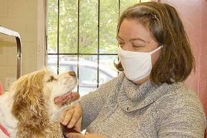 Peninsula businesses start to open doors