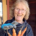 Making gardens homes for native bees lecture set