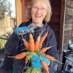 Jefferson County master gardener Nita Wester will discuss native bees at a Green Thumb gardening lecture Thursday.