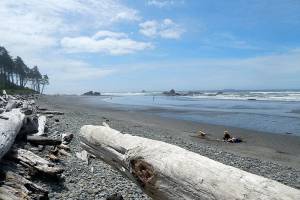 Kalaloch beaches open