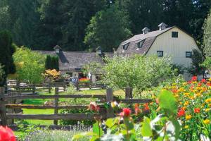 Concerts in the Barn to be online this season