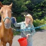 Country riding