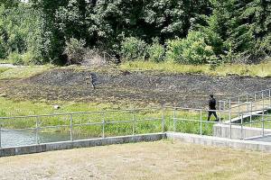 Clallam County crews extinguish grass fire