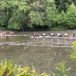 HORSEPLAY: Volunteers keep Olympic National Park trails maintained