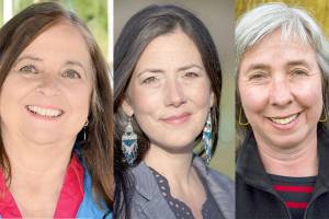 Three Democrats vie for seat on county commission