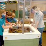 Feiro Marine Life Center reopens at Port Angeles City Pier