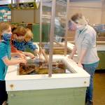 Feiro Marine Life Center guest services specialist Disa Wilson, right, answers questions from visitors Kellye Wittenburg of Boerne, Texas, left center, and her children, Kate, 11, and Jack, 6, on Saturday in Port Angeles. (Keith Thorpe/Peninsula Daily News)