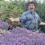 A GROWING CONCERN: Thyme to plant Mediterranean herbs