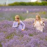 (Michael Dashiell/Olympic Peninsula News Group)