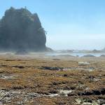 Sea stacks appear south of Cape Alava. (Rob Ollikainen/Peninsula Daily News)