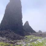 Green algae flourishes in the shadow of a sea stack. (Rob Ollikainen/Peninsula Daily News)