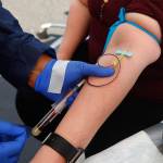 Virus antibodies fade fast, but not necessarily protection