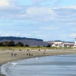 Sunny skies on the horizon