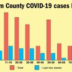The age range of COVID-19 cases is updated each Friday on the Clallam County Public Health website. (Keith Thorpe/Peninsula Daily News)