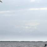 Wind and waves