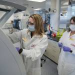 In this May 2020 photo provided by Eli Lilly, researchers prepare cells to produce possible COVID-19 antibodies for testing in a laboratory in Indianapolis. Antibodies are proteins the body makes when an infection occurs; they attach to a virus and help it be eliminated. (David Morrison/Eli Lilly via AP)