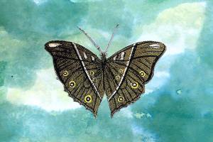 Free collage class set for Saturday in park