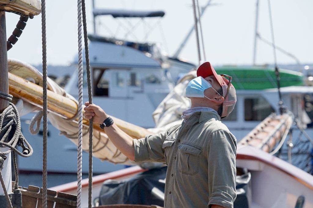 Capt. Nate Seward tugs on a line Thursday afternoon while looking up at Starlings gathered atop a mast on the Schooner Adventuress. (Nicholas Johnson/Peninsula Daily News)