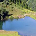 Hikers cool off in Heart Lake on the High Divide/Seven Lakes Basin loop from Sol Duc Falls. (Rob Ollikainen/Peninsula Daily News)