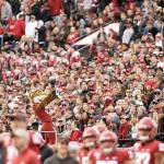 In this Nov. 16, 2019, photo, a packed crowd looks on as Washington State mascot Butch T. Cougar performs during an NCAA college football game between Washington State and Stanford in Pullman, Wash. The athletes werent the only ones impacted when Washington States fall football season was canceled by the coronavirus pandemic. Merchants in tiny Pullman, who depend on big football crowds, say they are losing a major chunk of their annual income. Pullman, the most remote outpost in the PAC-12, has only 34,000 residents and many businesses in town depend on visitors attracted by football games, graduation and other special events. (AP Photo/Young Kwak)