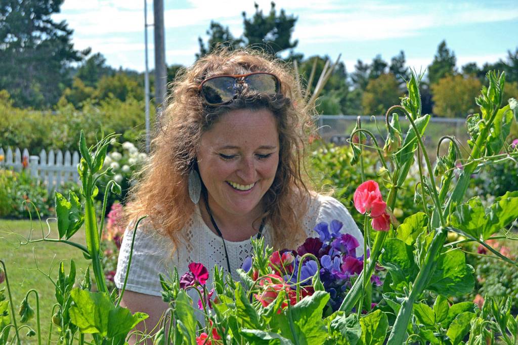 Sweet peas and dahlias are two of Mikel Townsleys favorites in her garden. Proceeds from bouquet sales will help with some expenses of obtaining a masters degree in social work. (Matthew Nash/Olympic Peninsula News Group)