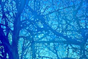 Northwind Arts Center opens two shows Friday