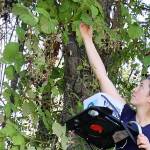 Berry resourceful couple in Port Angeles