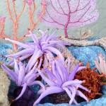 Fiber seascape to open Saturday at Port Angeles Fine Arts Center