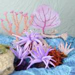 Undersea Garden: A Voyage of Wonder and Imagination opens Saturday at the Port Angeles Fine Arts Center.