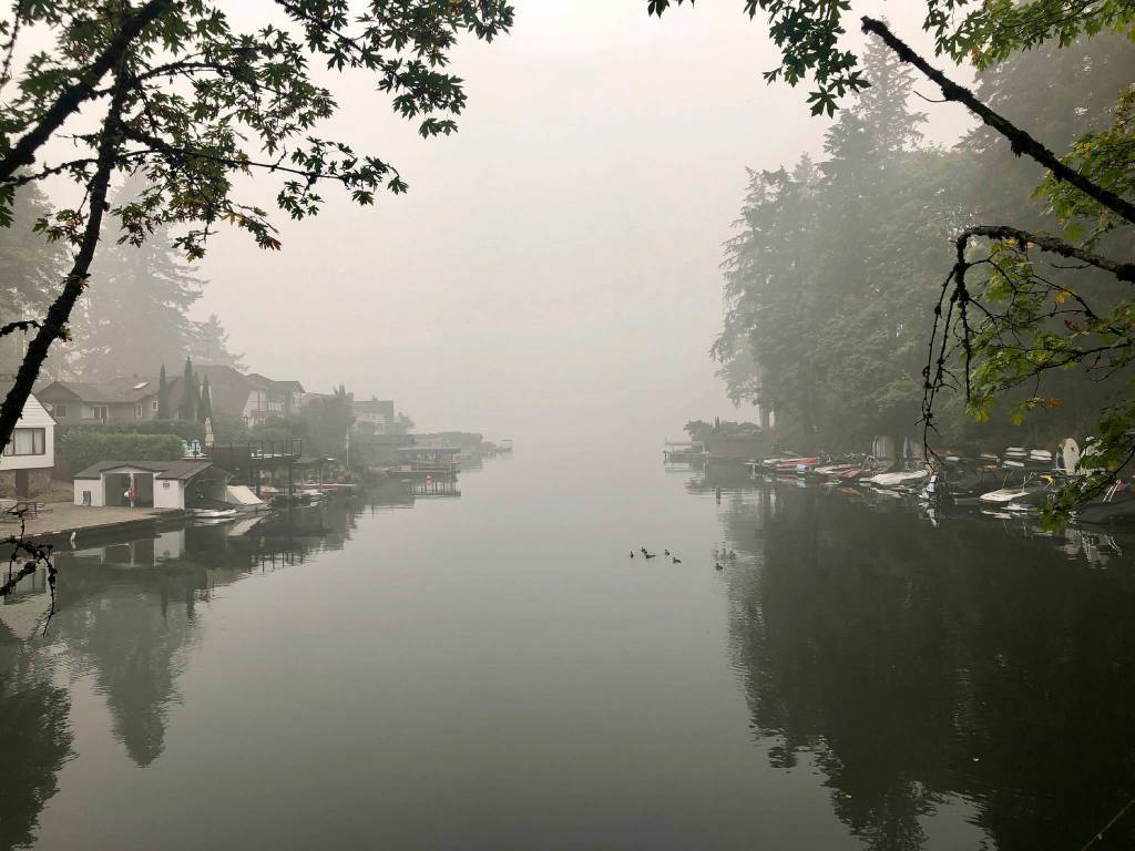 A family of ducks swims on Oswego Lake, which is almost completely obscured by wildfire smoke, in Lake Oswego, Ore., on Monday, Sept. 14, 2020. The entire Portland metropolitan region remains under a thick blanket of smog from wildfires that are burning around the state and residents are being advised to remain indoors due to hazardous air quality. (Gillian Flaccus/Associated Press)