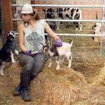 Animal rescue granted ownership of suspected abused animals