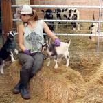 Center Valley Animal Rescue volunteer Amy Sleeper sits with two of the goat kids Thursday, Sept. 17, 2020, that were born after their parents were seized in an alleged animal abuse case in late July. The Jefferson County District Court transferred ownership of the animals to Center Valley Animal Rescue. (Zach Jablonski/Peninsula Daily News)