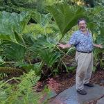 A GROWING CONCERN: Add a prehistoric element for future visual impact