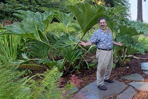 A GROWING CONCERN: Add a prehistoric element for future visual impact