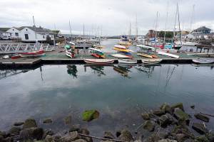 Port of Port Townsend gets taste of oyster idea