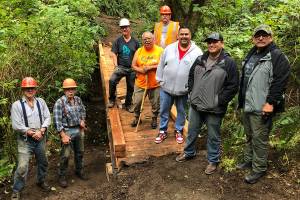 When a footbridge over Lonesome Creek, located on the popular West End’s LaPush Beach Trail, needing replacing, three organizations collaborated on it. Quileute Tribal Council provided materials, including 30-foot-long steel I-beams for the bridge stringers, the Olympic National Park provided the drawings and oversight of the project and Back Country Horsemen Mt Olympus Chapter members provided volunteers to remove the old bridge and replace it with materials that will last many years. From left, Mt. Olympus volunteers Mike McCracken, Larry Baysinger, Rich James and Ray Sutherland (orange hat). Representing the Quileute Tribal Council are, from left, and Tom Jackson, Doug Woodruff,  Skylar Foster and Tony Foster. (Sherry Baysinger)